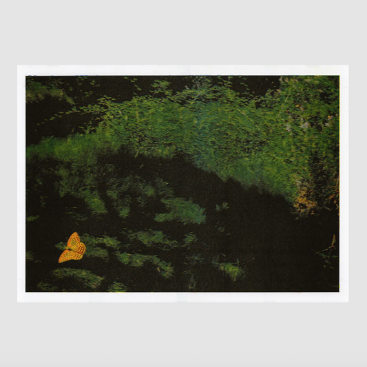 fresh summer breeze 5 [A2] Rubén Montesinos