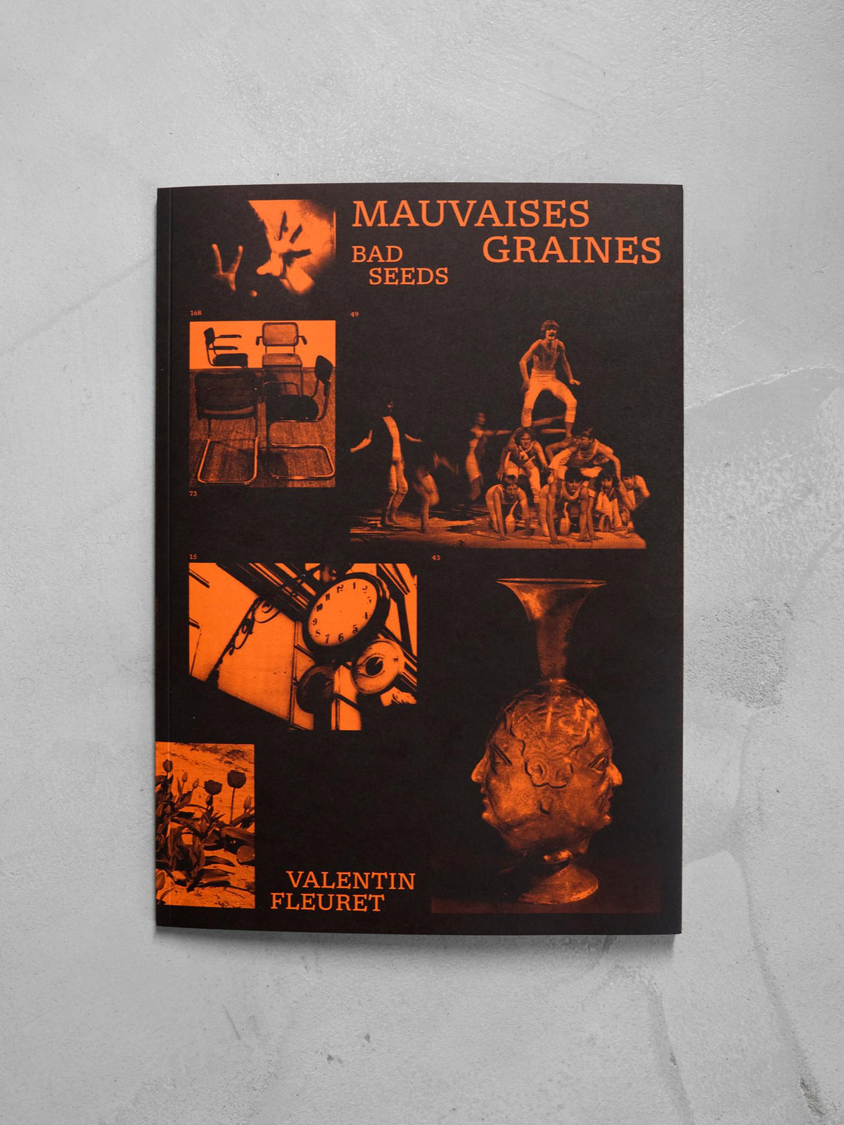 Mauvaises Graines