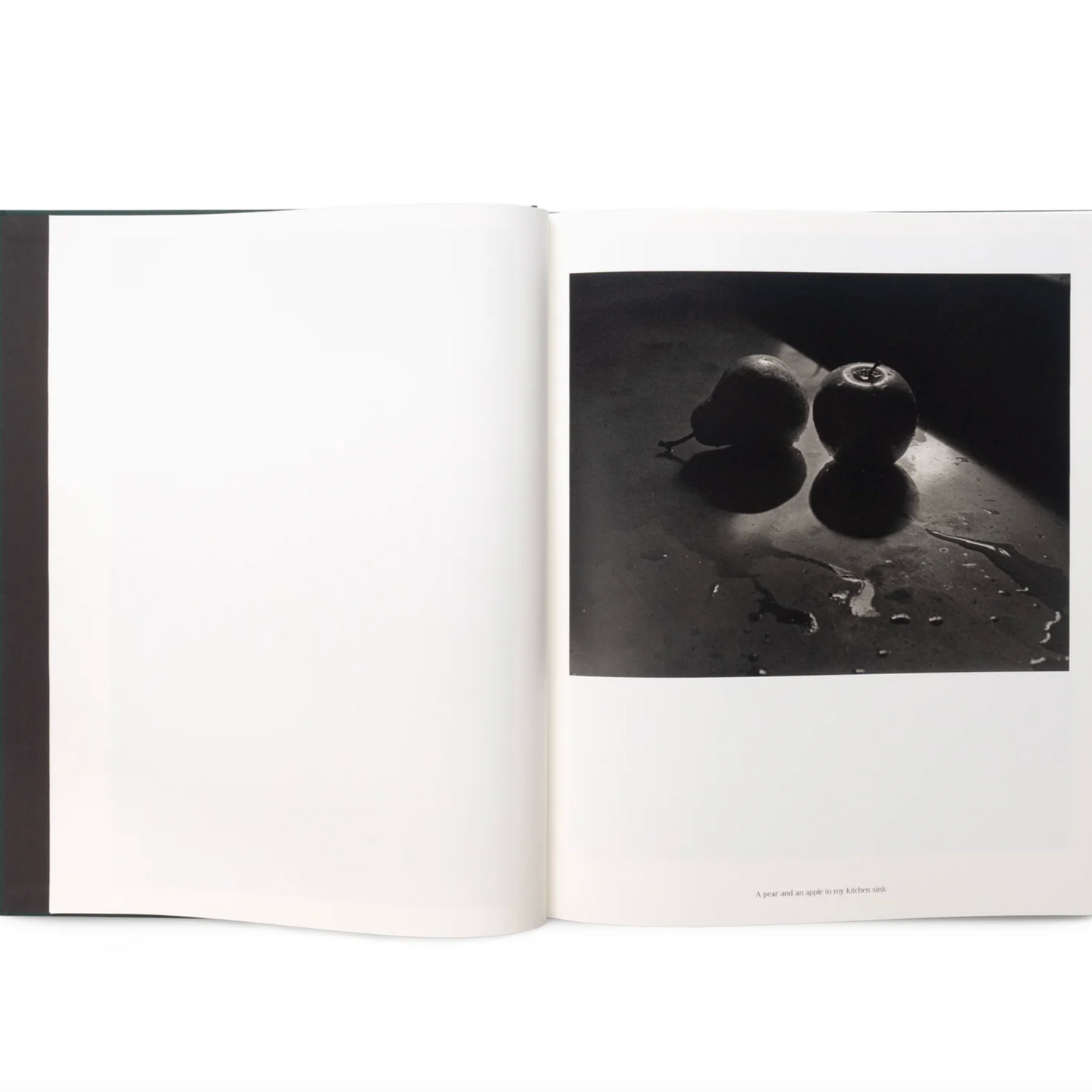 The Stillness of Life