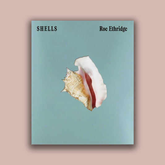 Shells