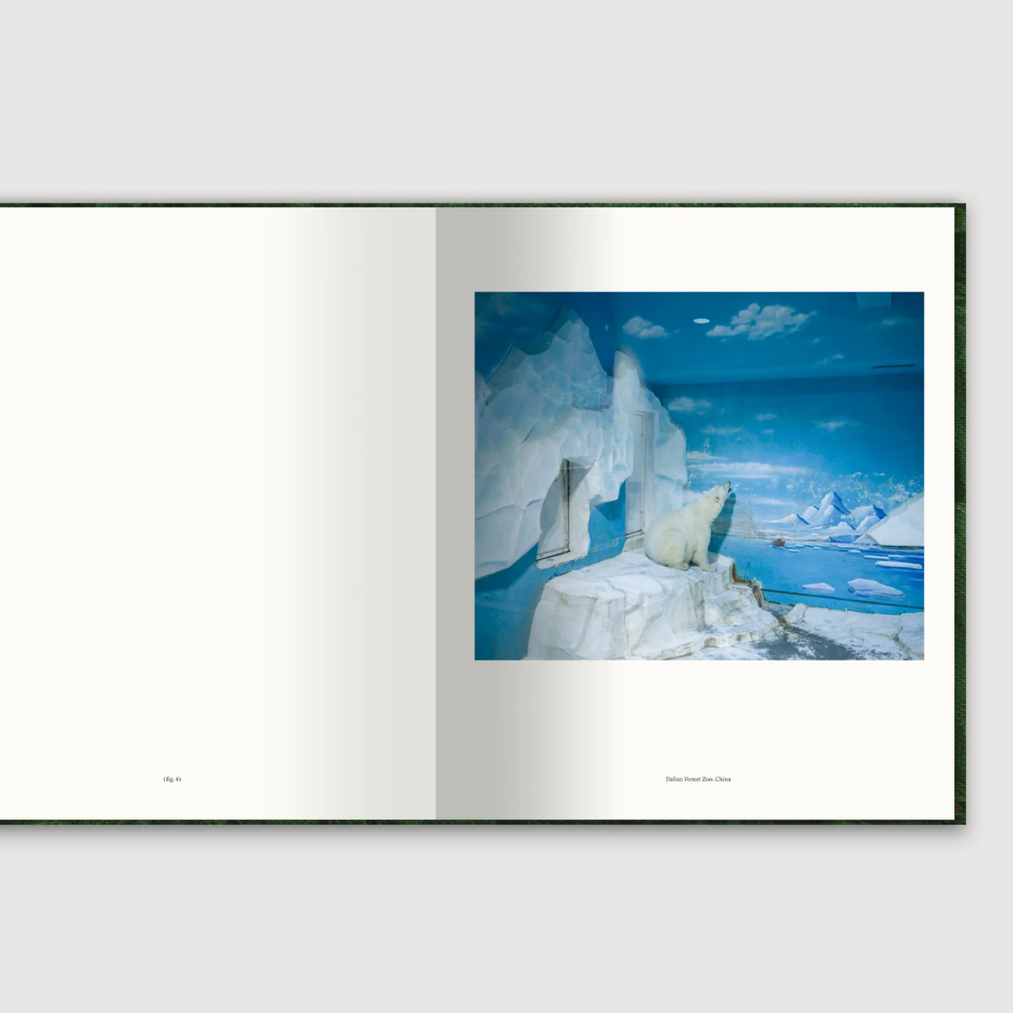 The Anthropocene Illusion