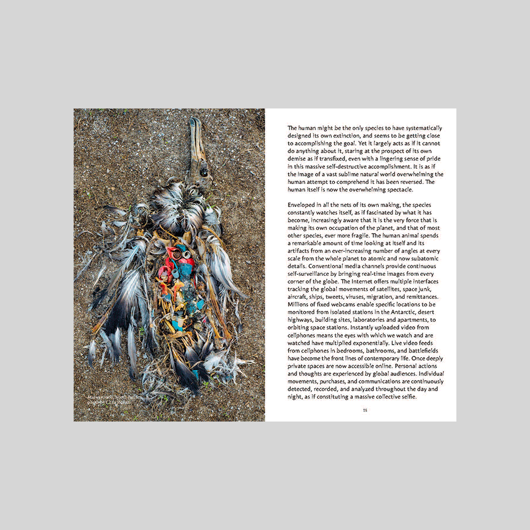 Are We human? The Archeology of Design