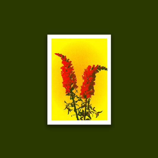 Flower D (A5)