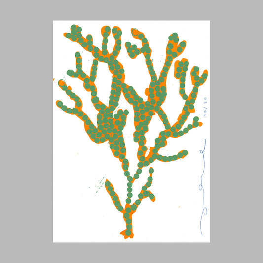 Print Alga