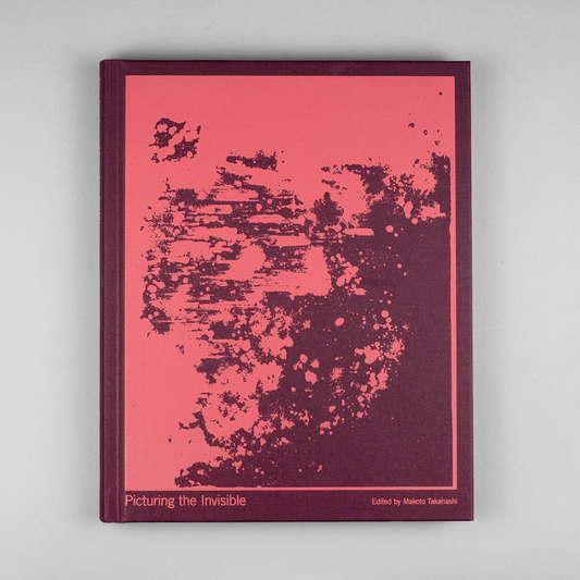 Picturing the Invisible
