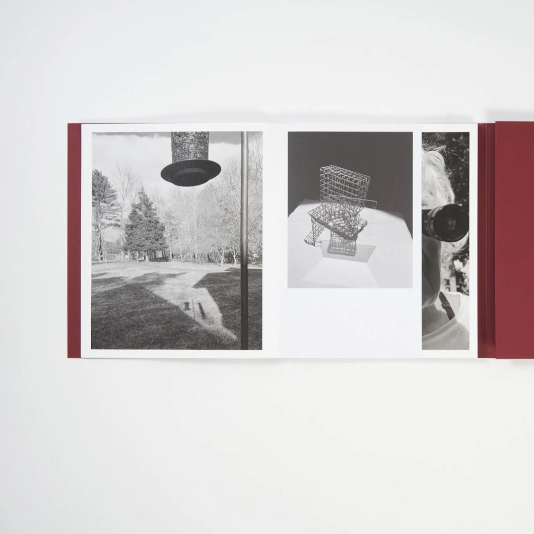 Calling the Bird Home