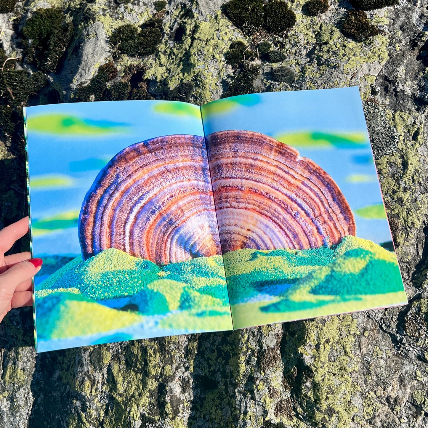 Mushrooms and Friends 3 (2nd Printing)