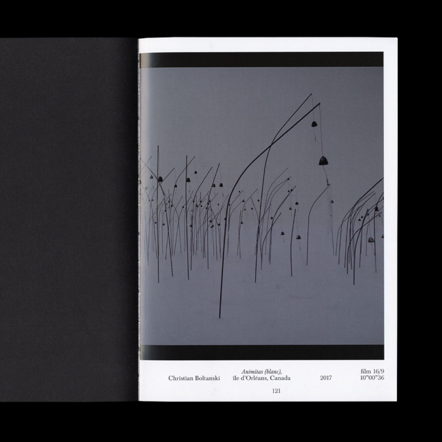 Et la vie continue… – Dessins de la collection Karmitz