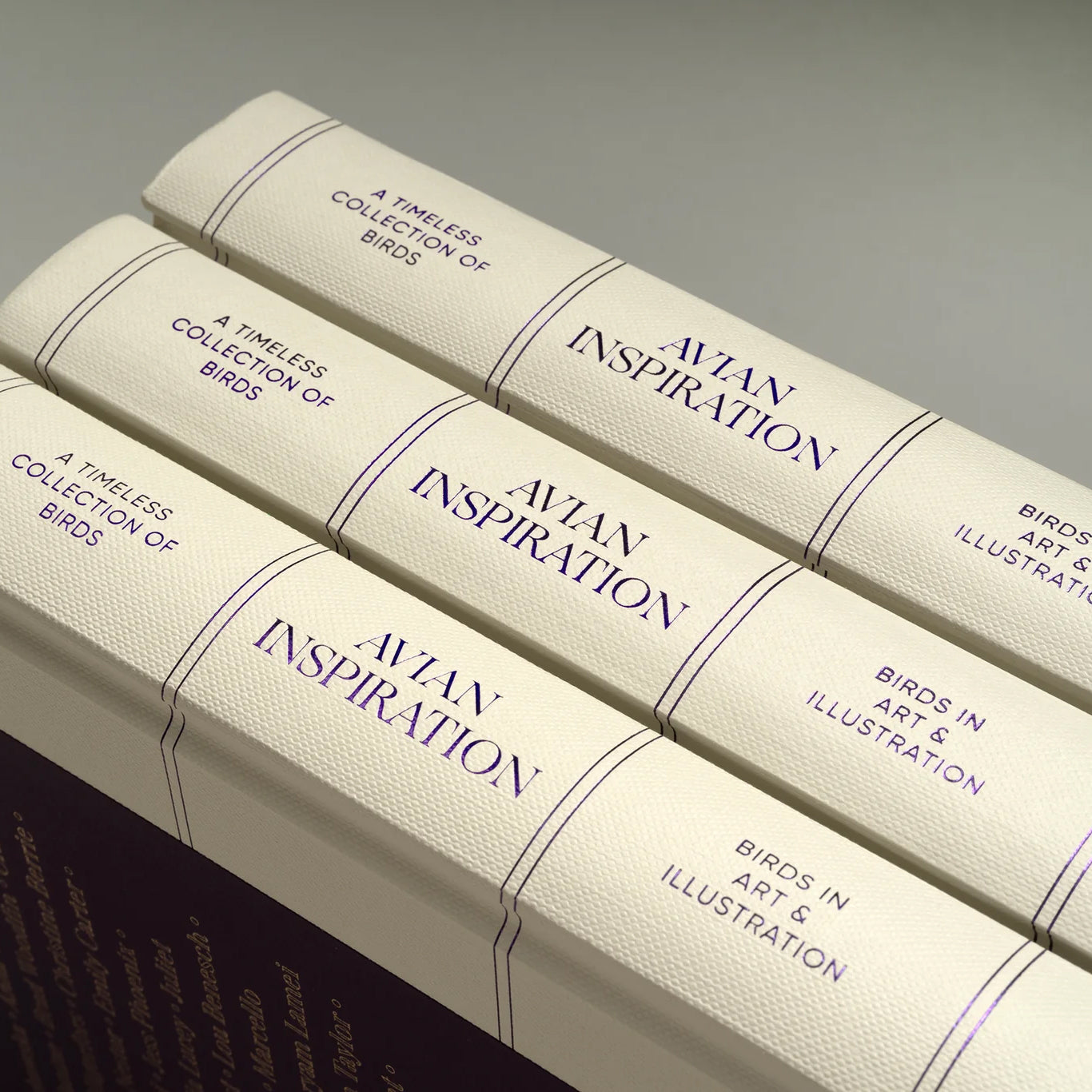 Avian Inspiration Art and Design Inspired by Birds /anglais