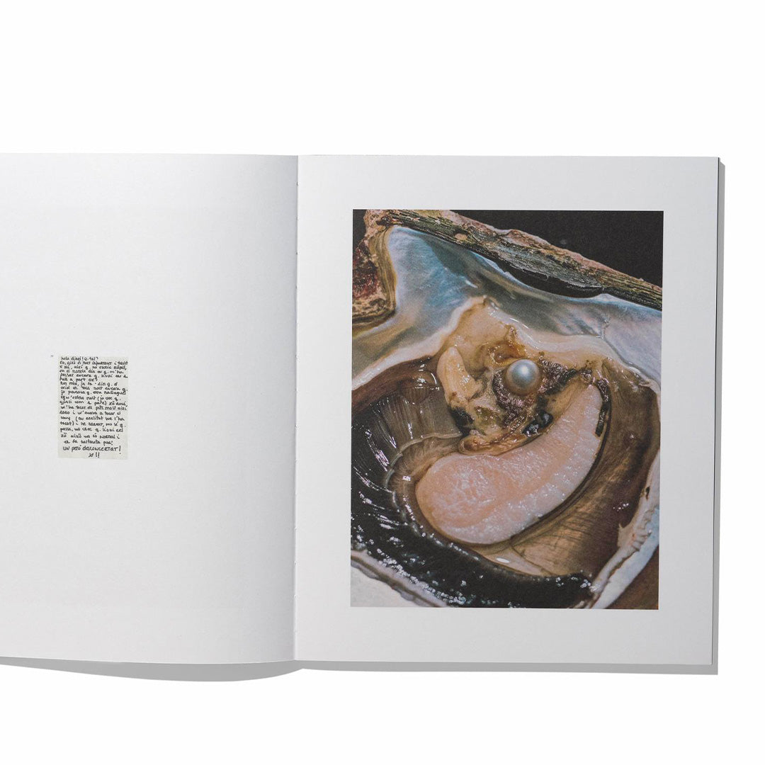 Anatomy of an oyster