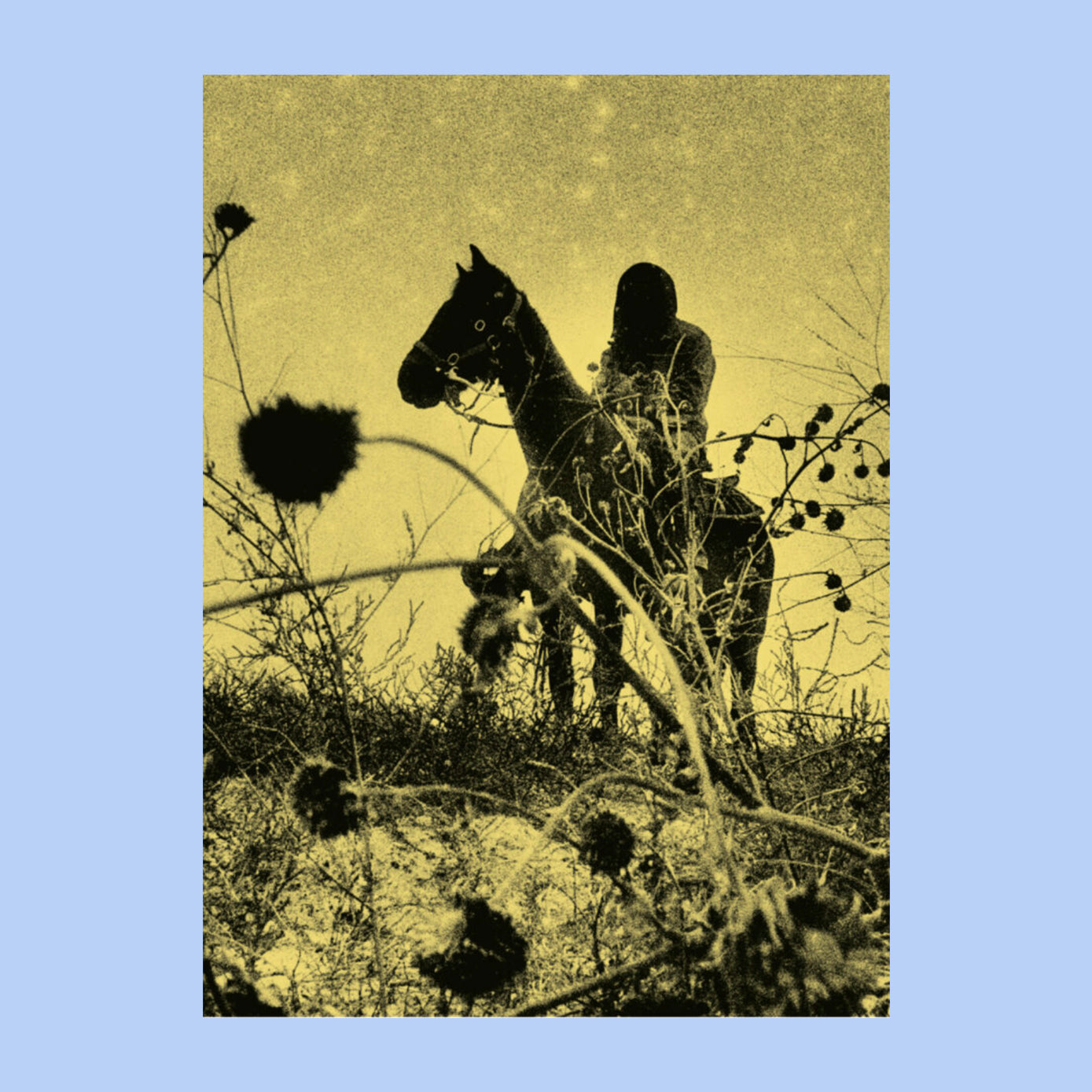 Aux Ombres
