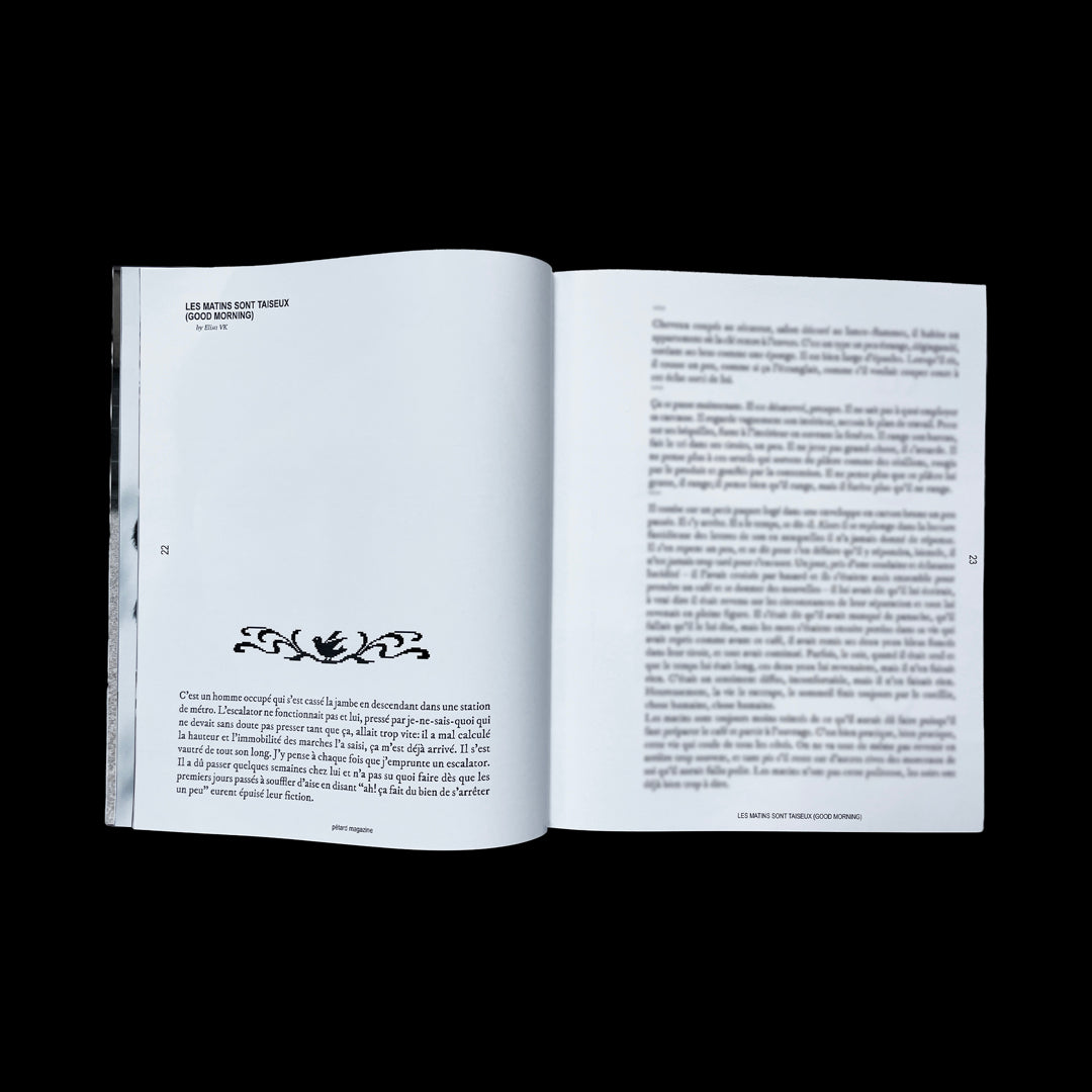 Pétard magazine #2 On authenticity