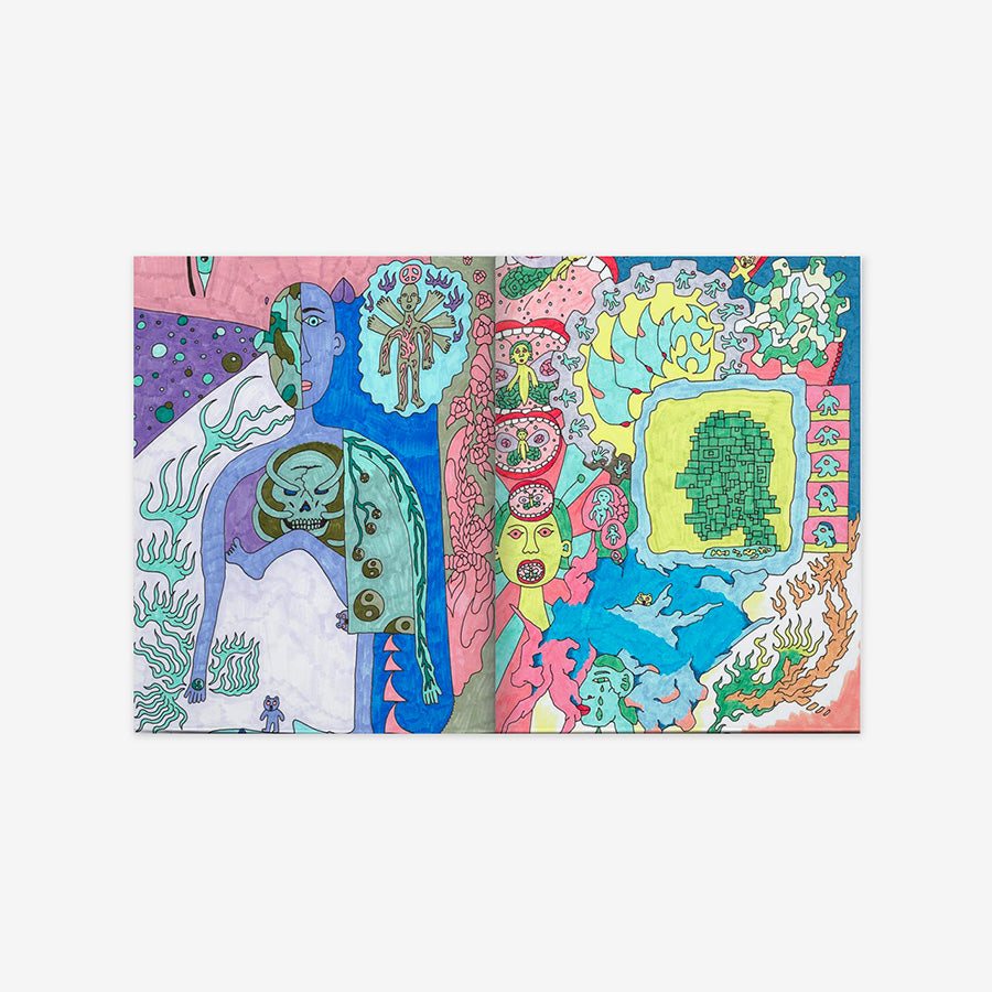 The mind's mirror
