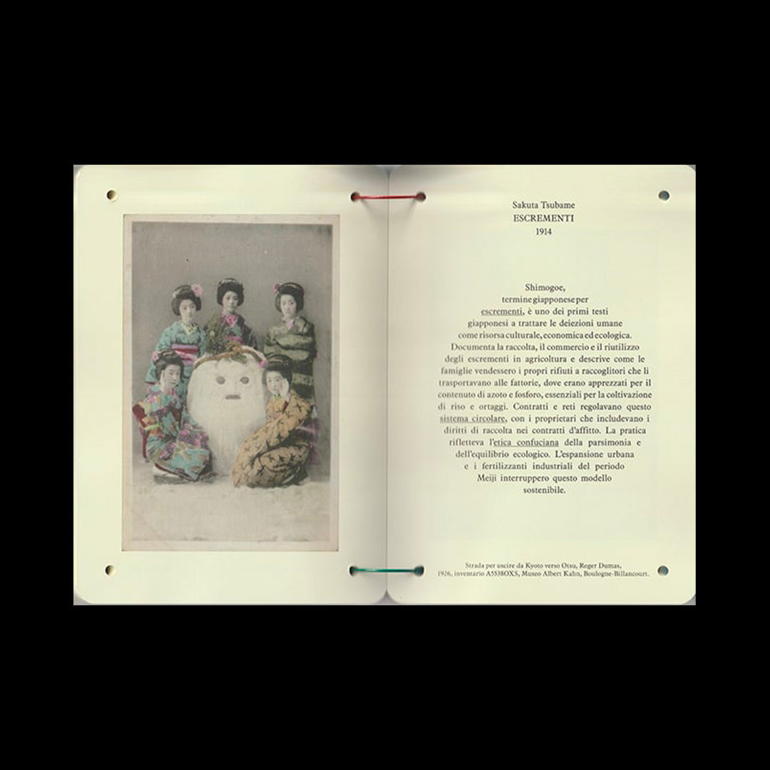 Thesaurus of Child Ecology