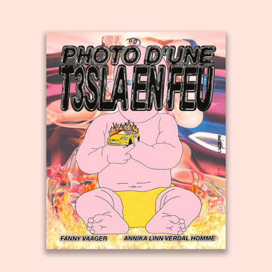 Photo d'une T3sla en feu