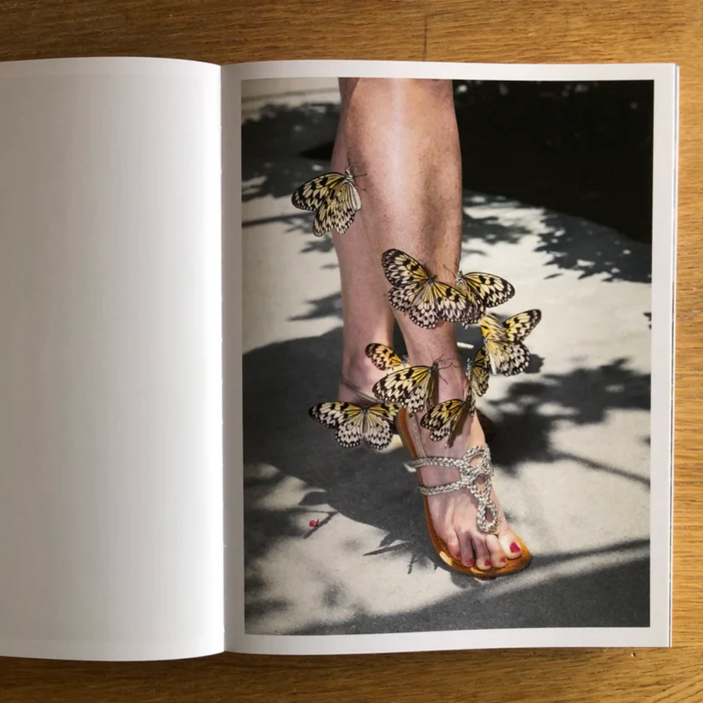 Anthology: Norwegian Journal of Photography #7