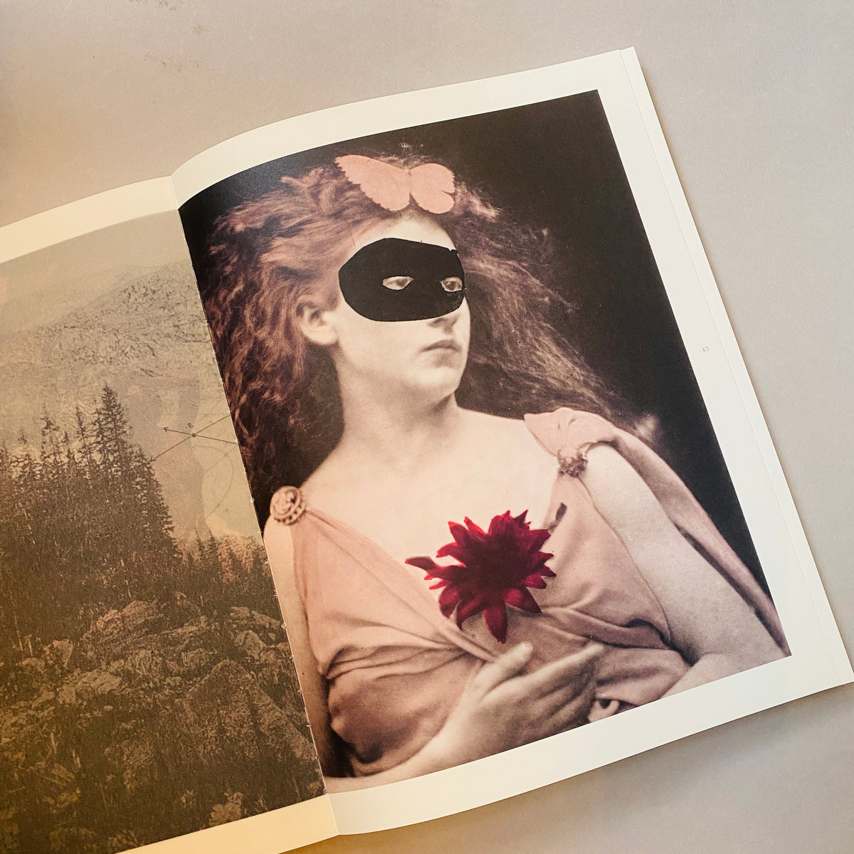 Apophenia III : In Medias Res