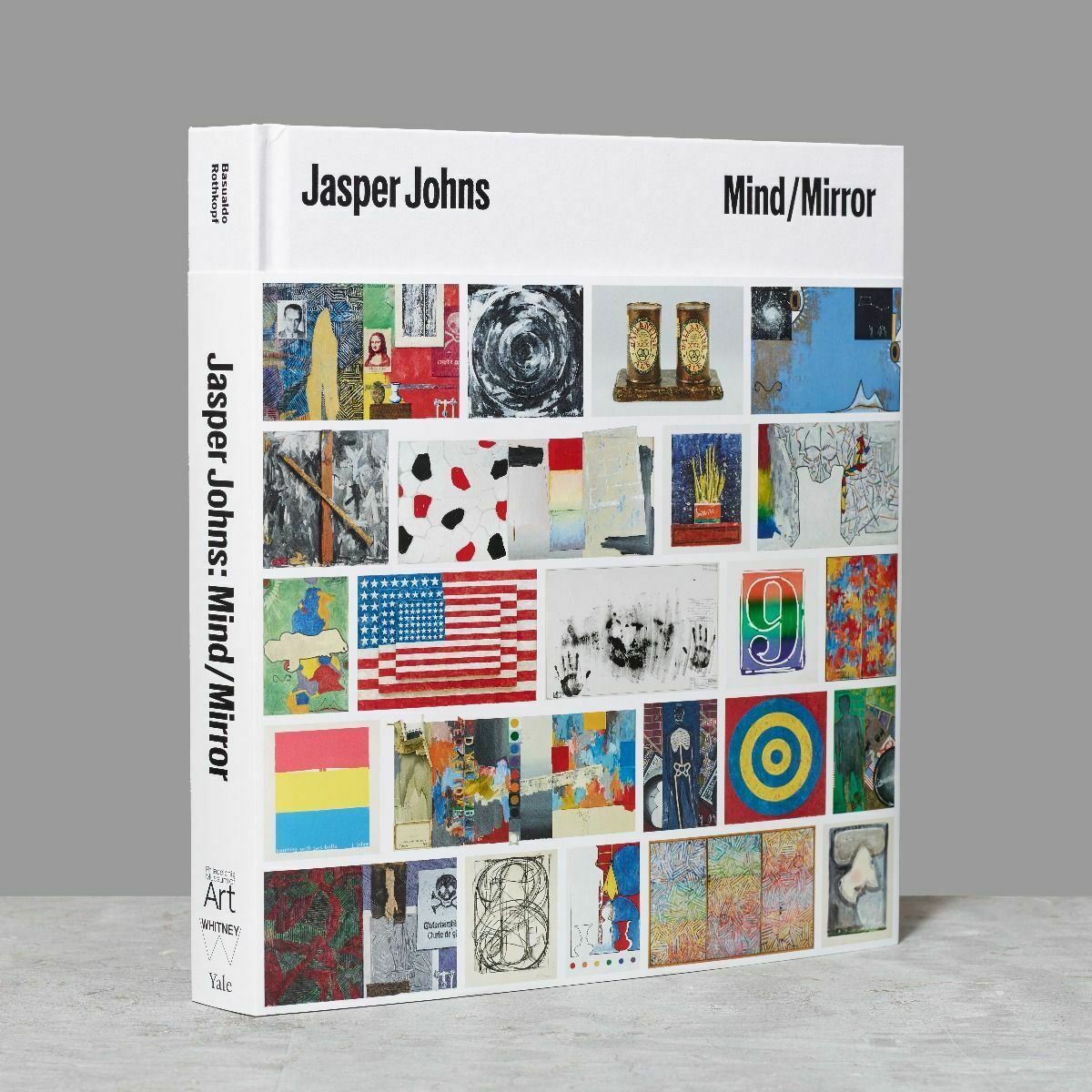 JASPER JOHNS MIND MIRROR