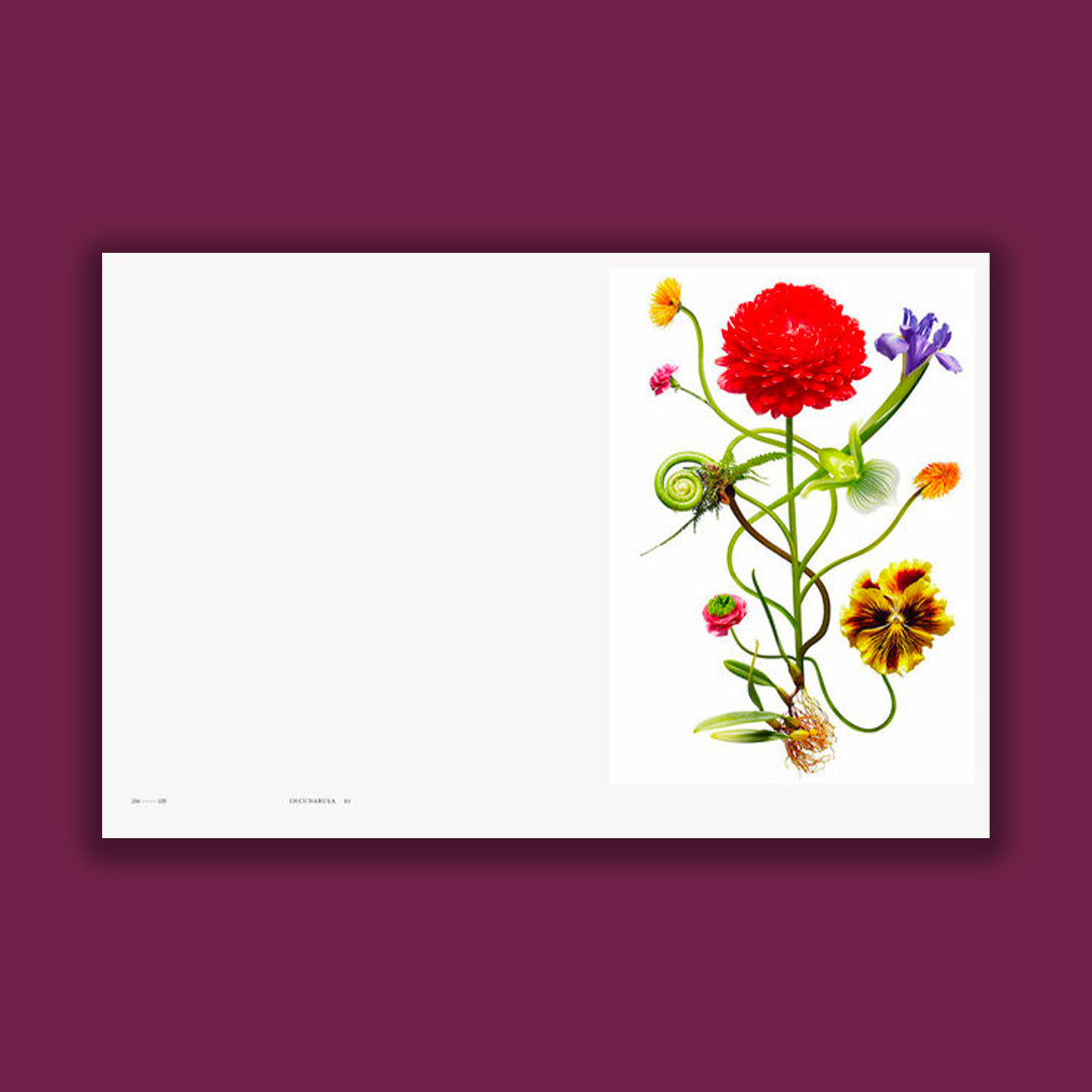 Encyclopedia of Flowers VI