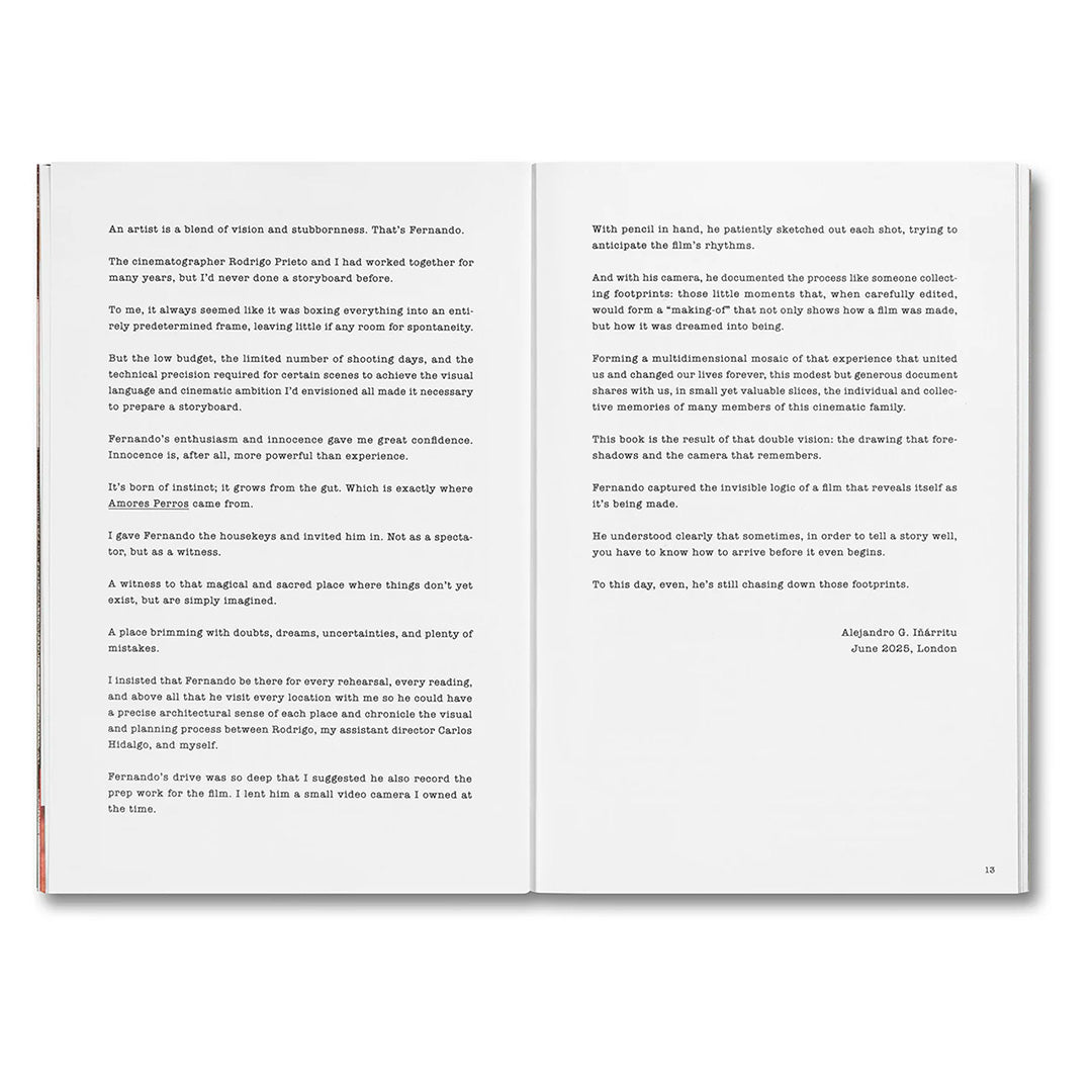 Unleashing Amores Perros