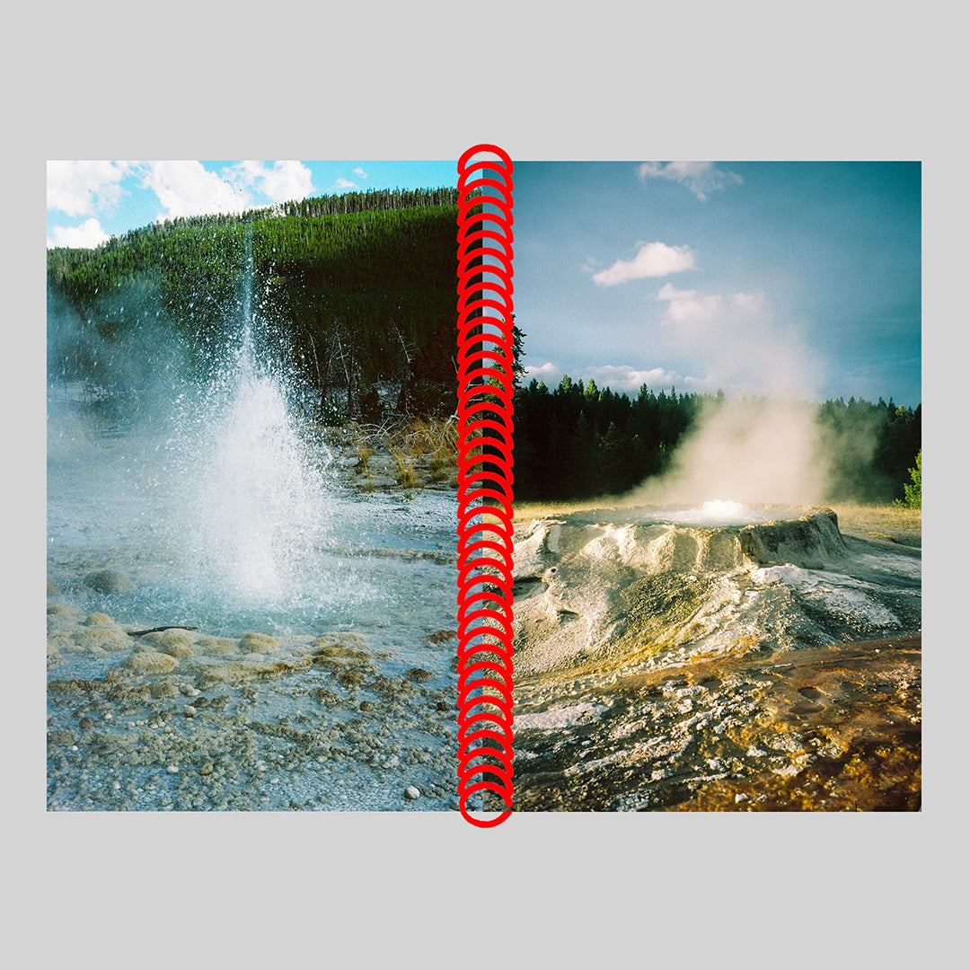 DESERT GRILL DOLLAR TREE FOSSILS TRAP