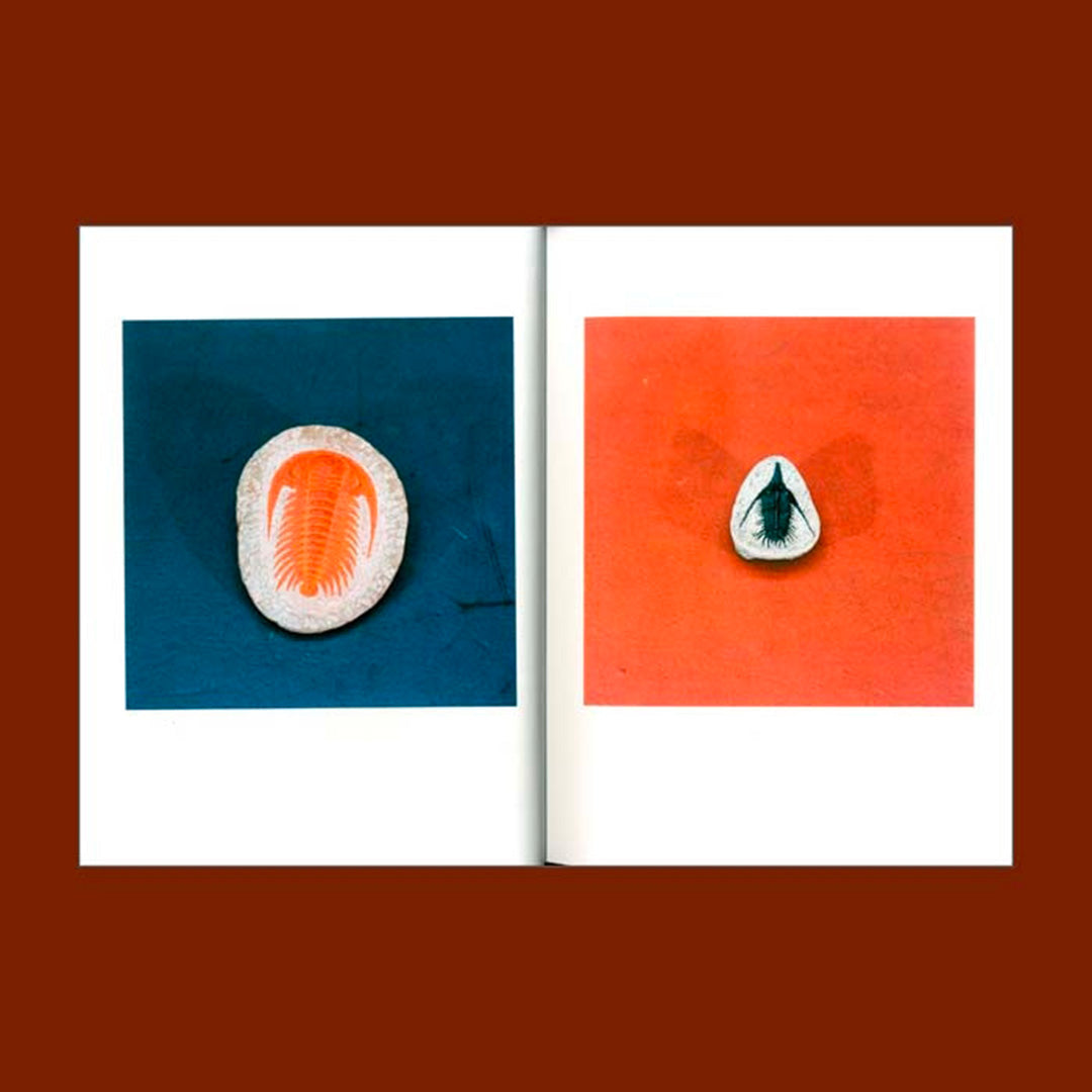 Guide to Trees + Guide to Fossils