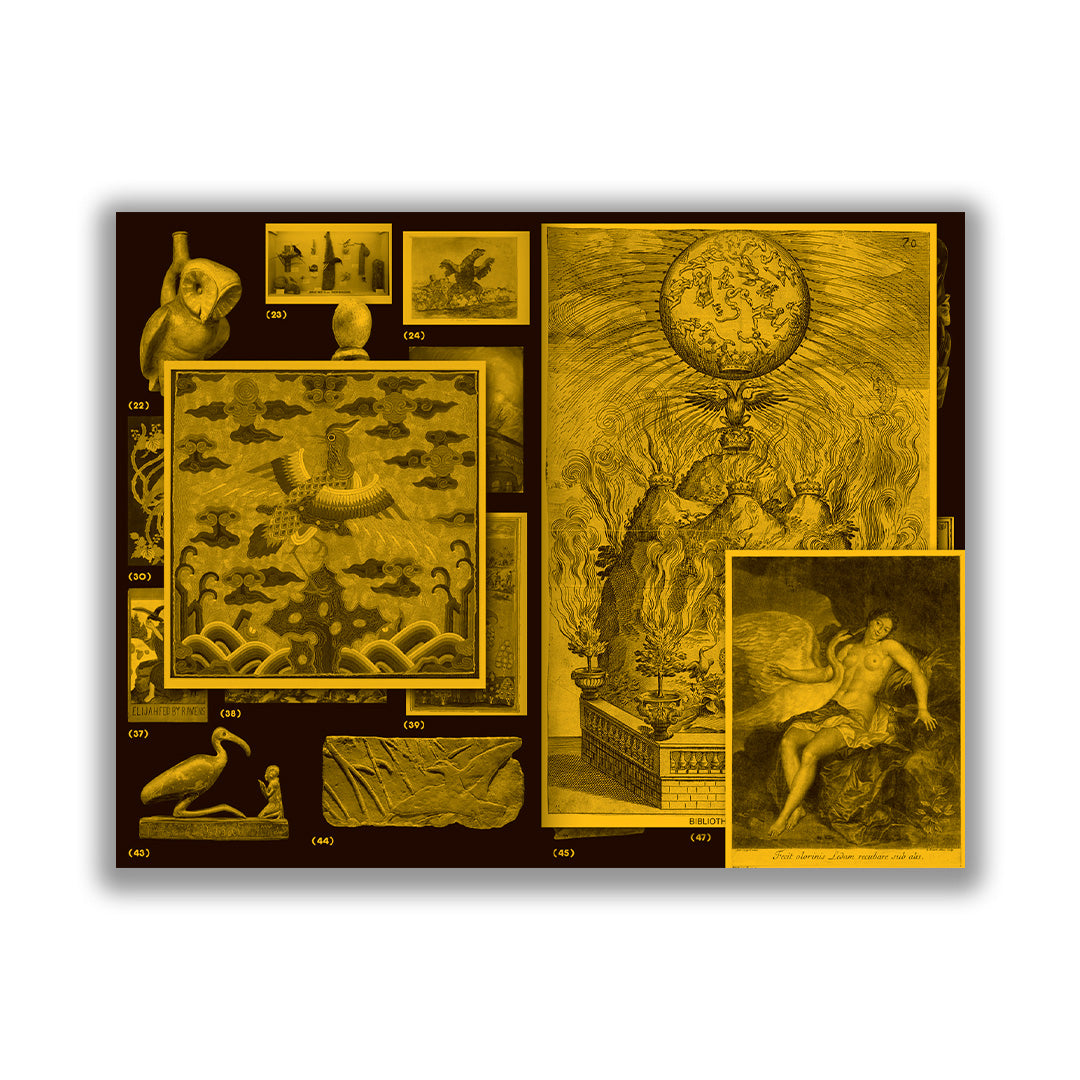 with a Bird, A Reader on Avian Kinship