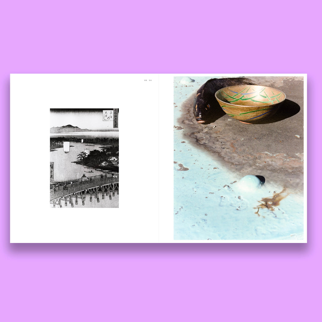 Naohiro Harada Tokyo Fishgraphs II
