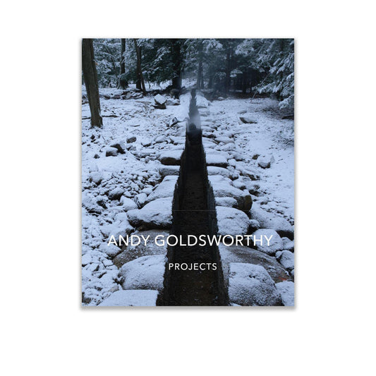Andy Goldsworthy: Projects
