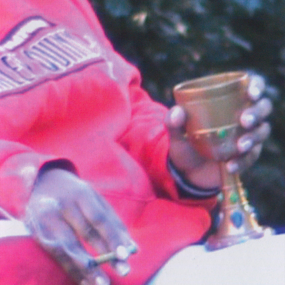 The knight, the princess and the goose