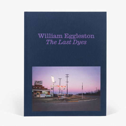 William Eggleston The Last Dyes