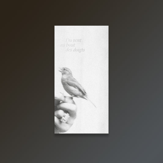 Wind at your fingertips