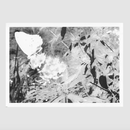 fresh summer breeze 2 [A2] Rubén Montesinos