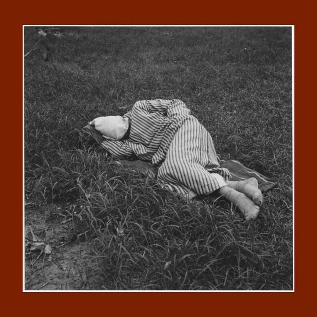 Guide to Trees + Guide to Fossils