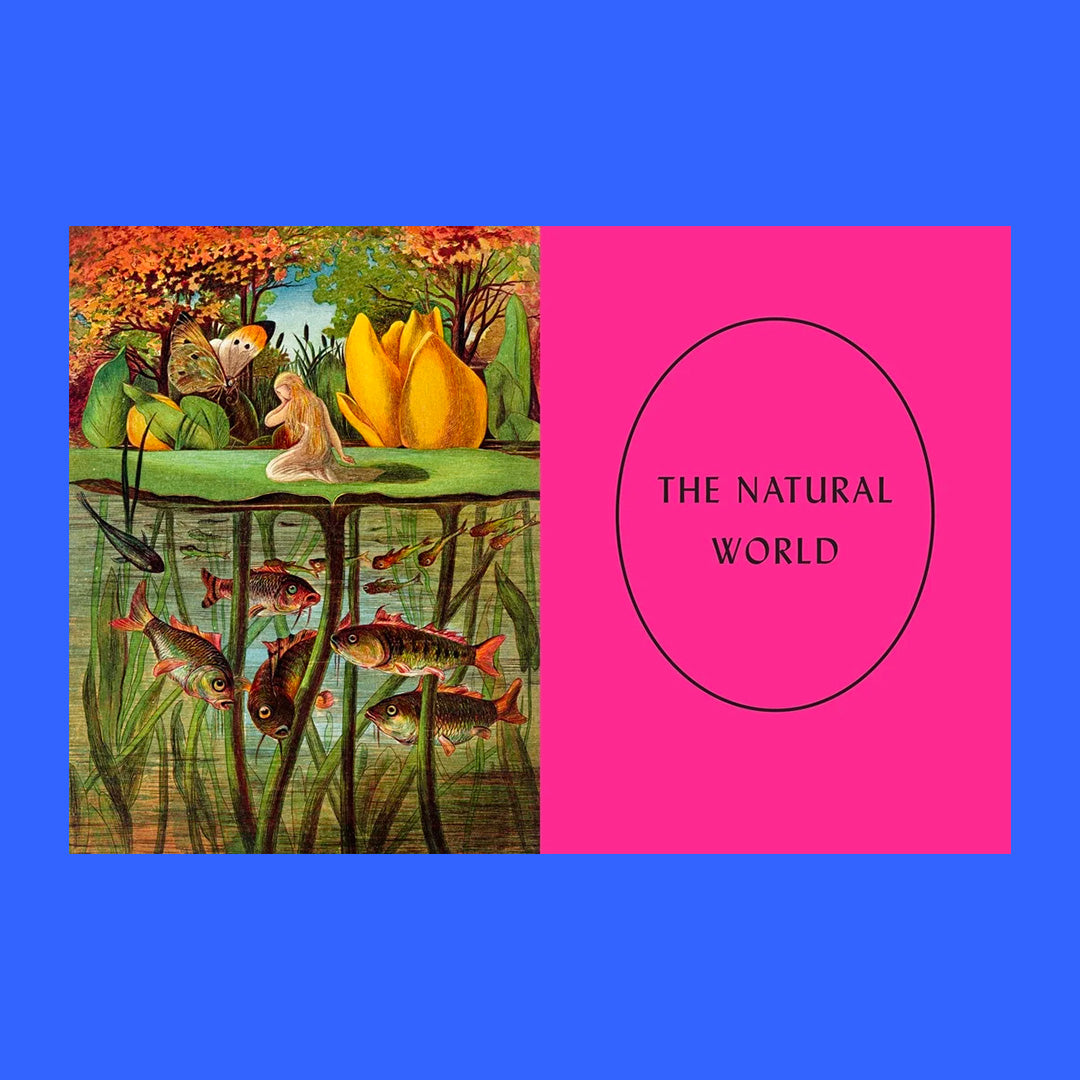 The Art of Fairy Tales