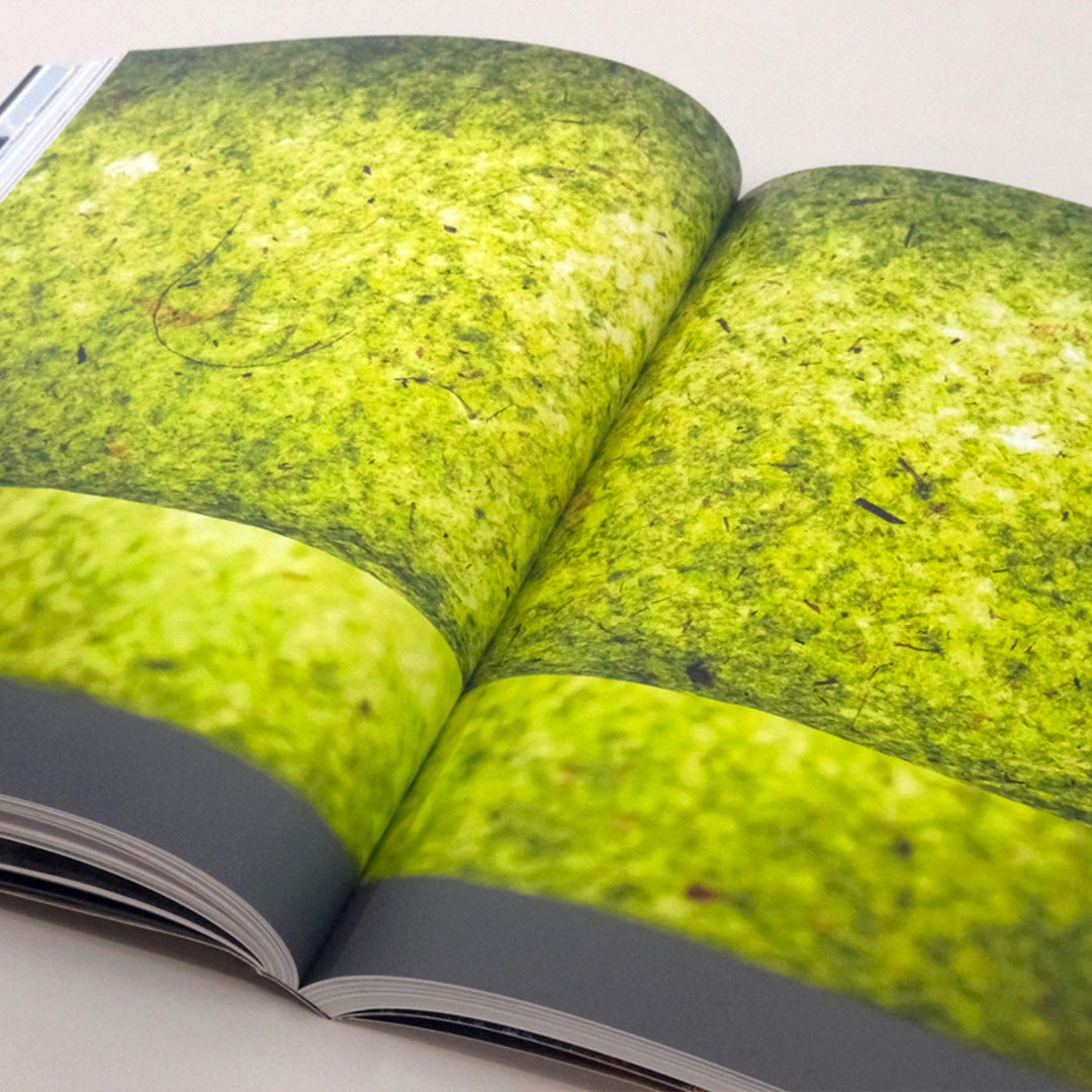 The Algae Paper