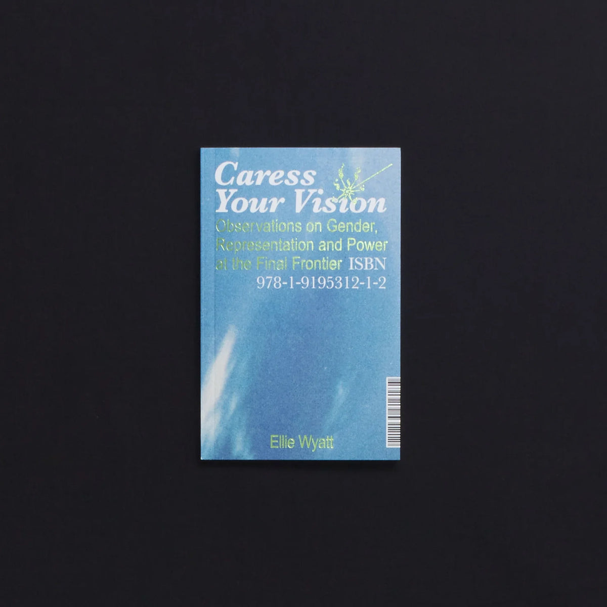 Caress Your Vision: Observations on Gender, Representation and Power at the Final Frontier