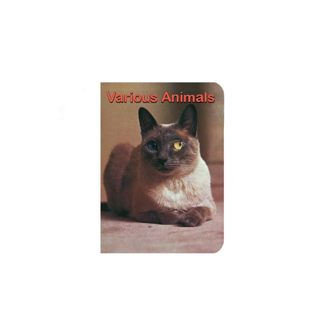 Various Animals