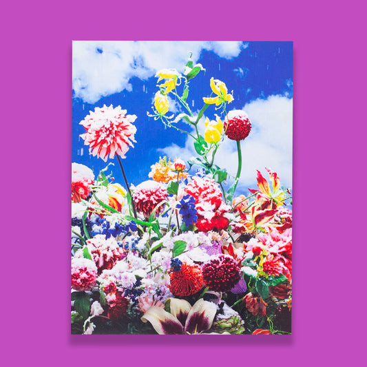 Eternity in a Moment Vol 1