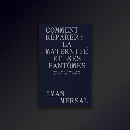 Comment réparer : La maternité et ses Fantômes