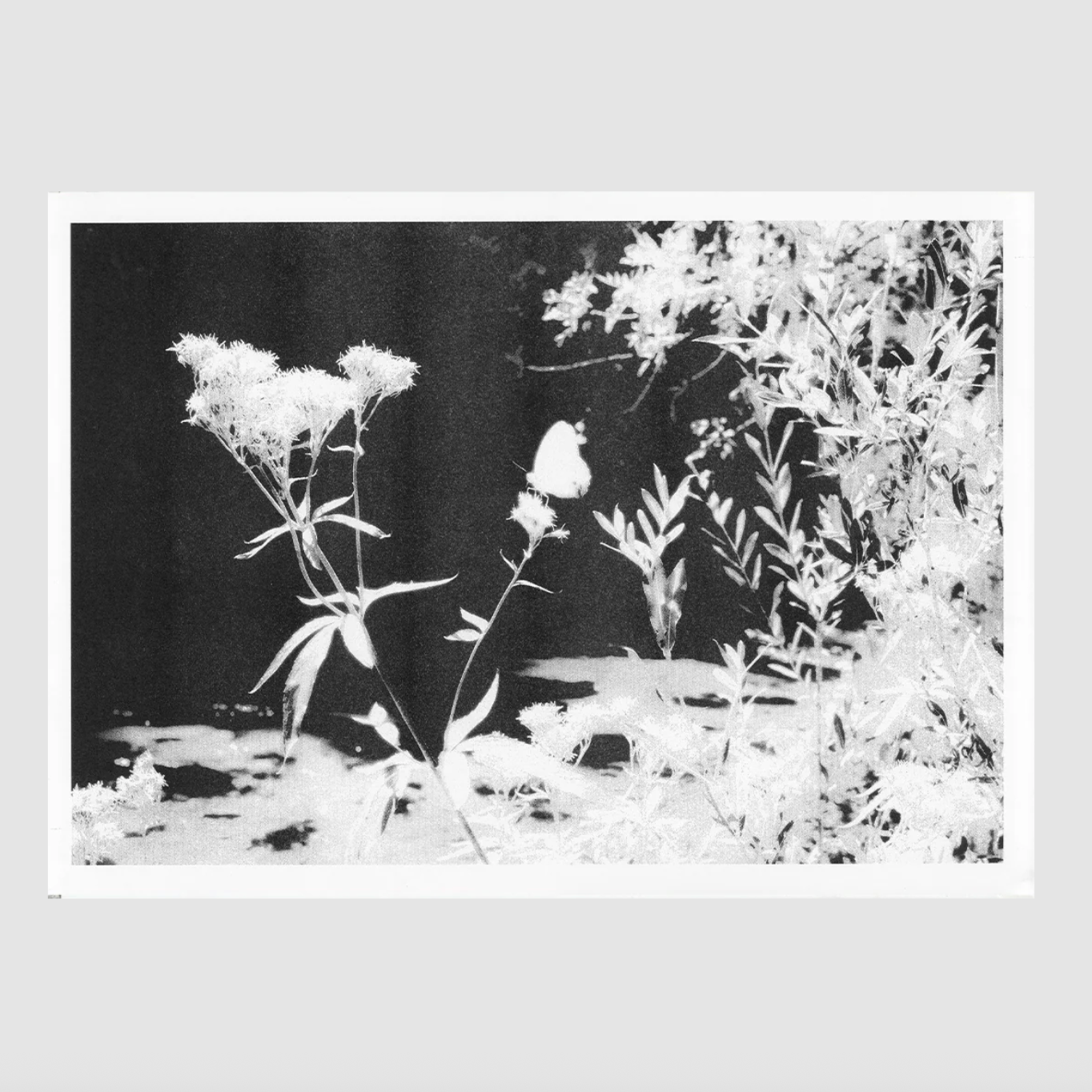 fresh summer breeze 1 [A2] Rubén Montesinos