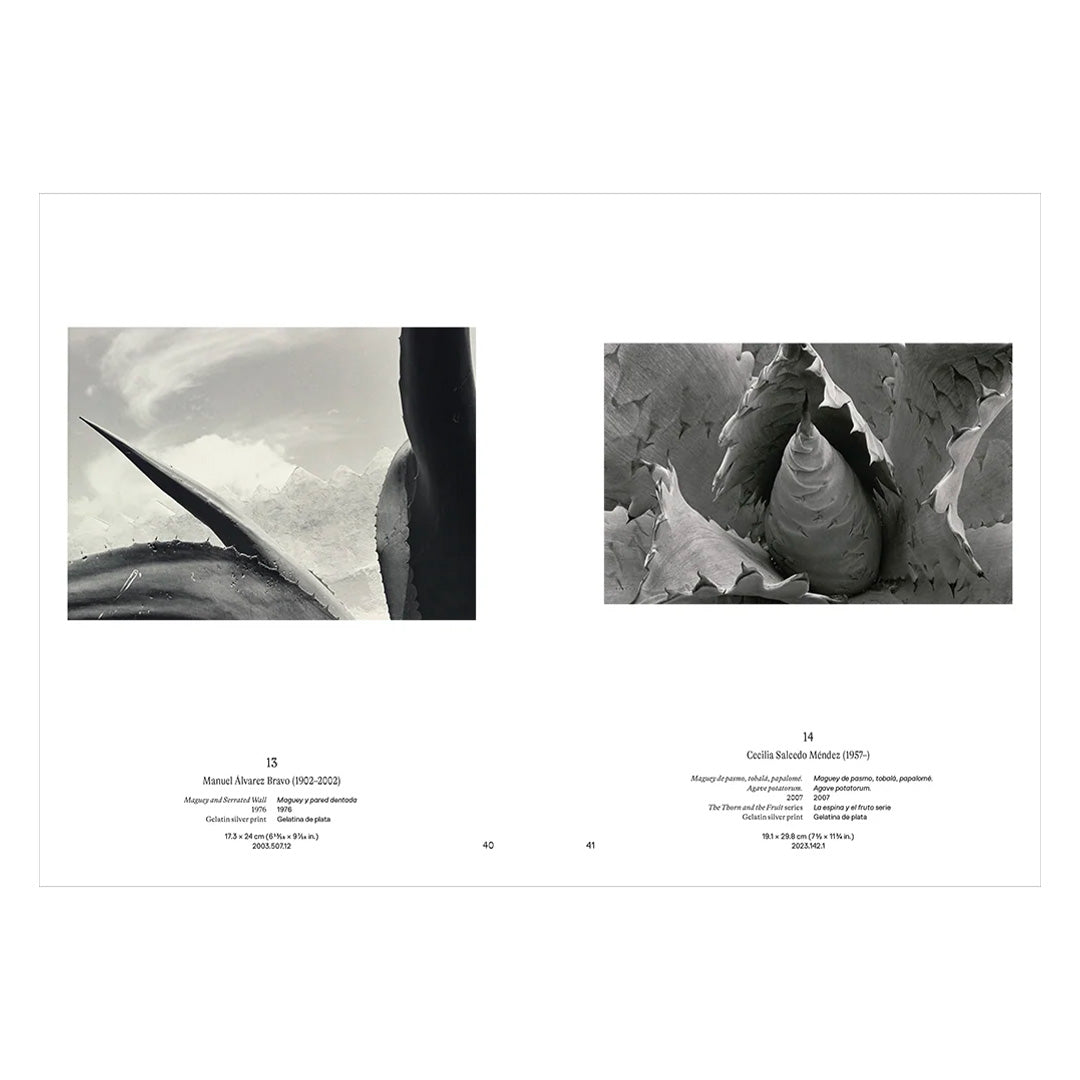 Instante/revelación