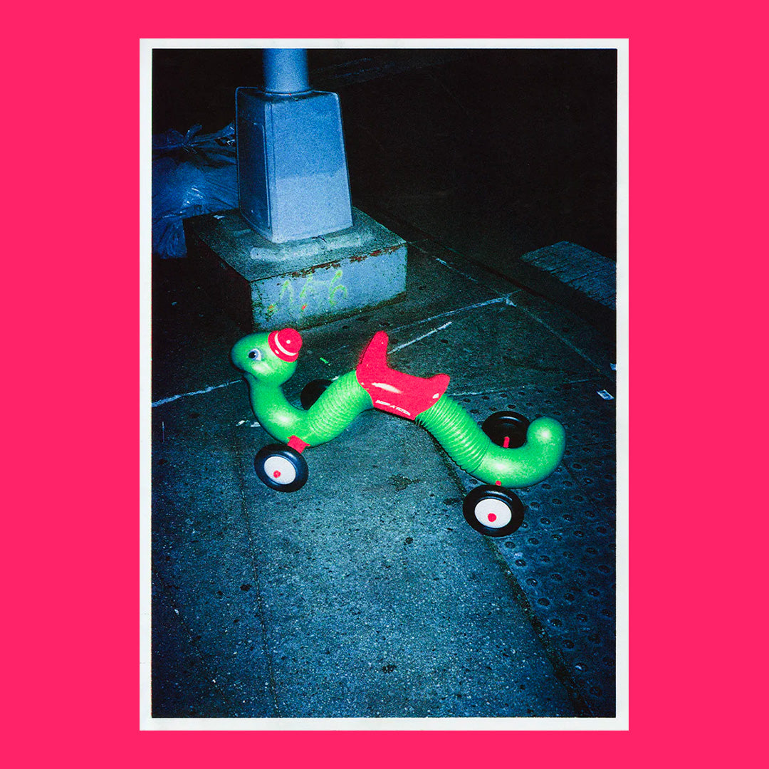 Desert Grill Dollar Tree Fossils Trap [A3] (5)