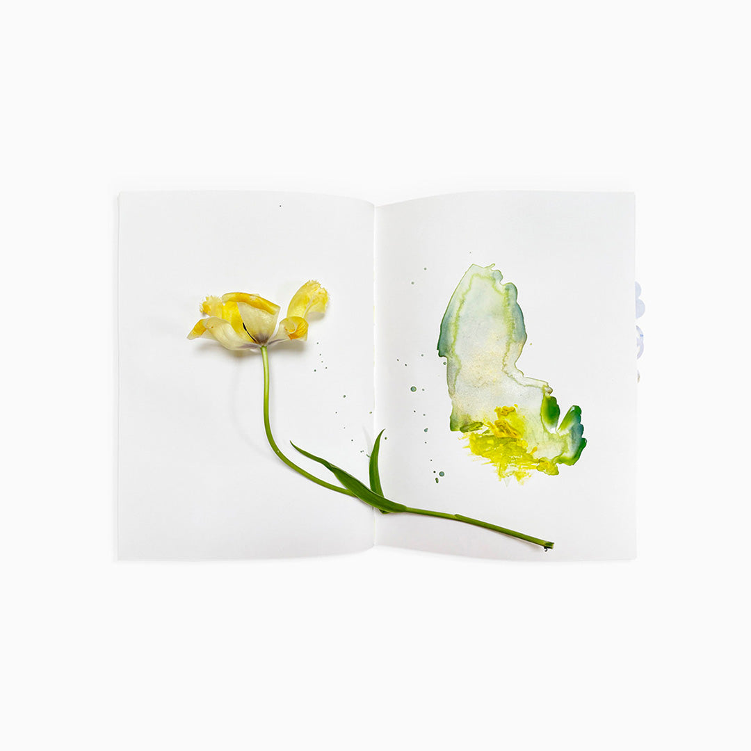 Ephemeral Field Journal