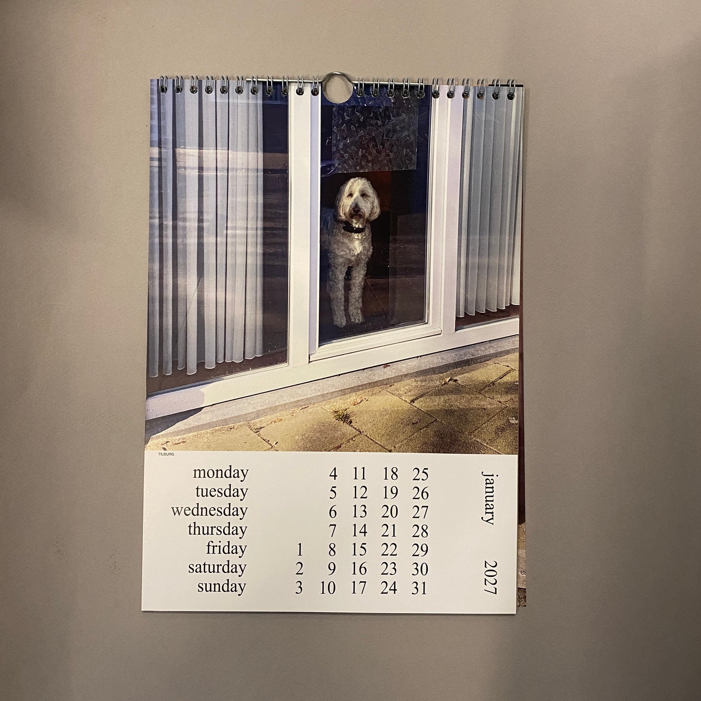 Cats and dogs in the Window Calendar 2027