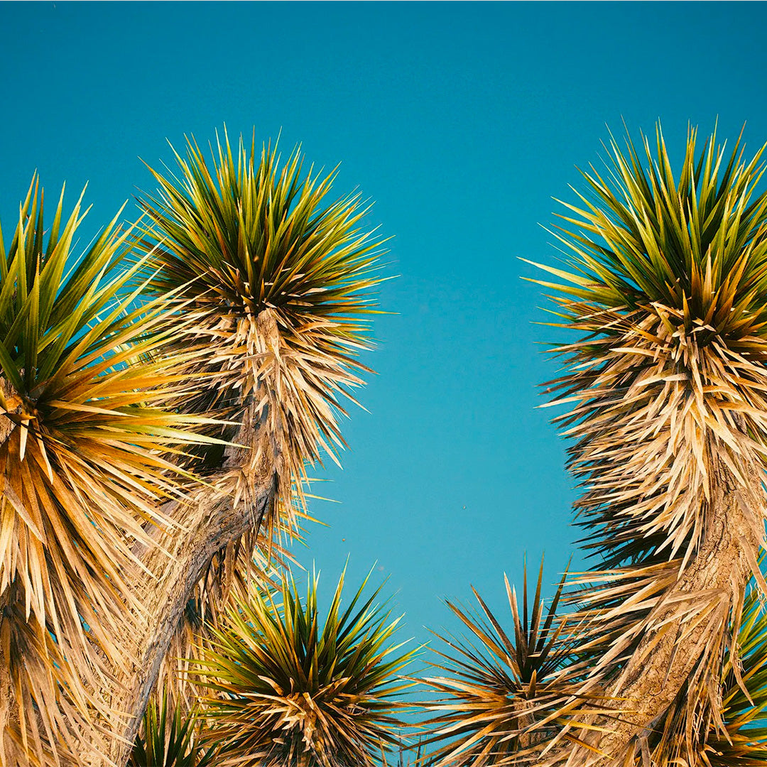 Photography, video game, landscape