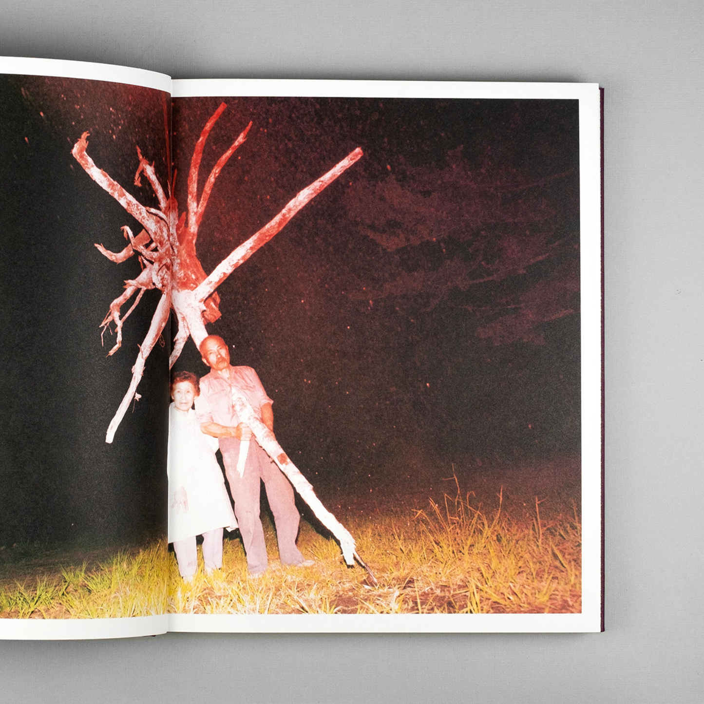 Picturing the Invisible