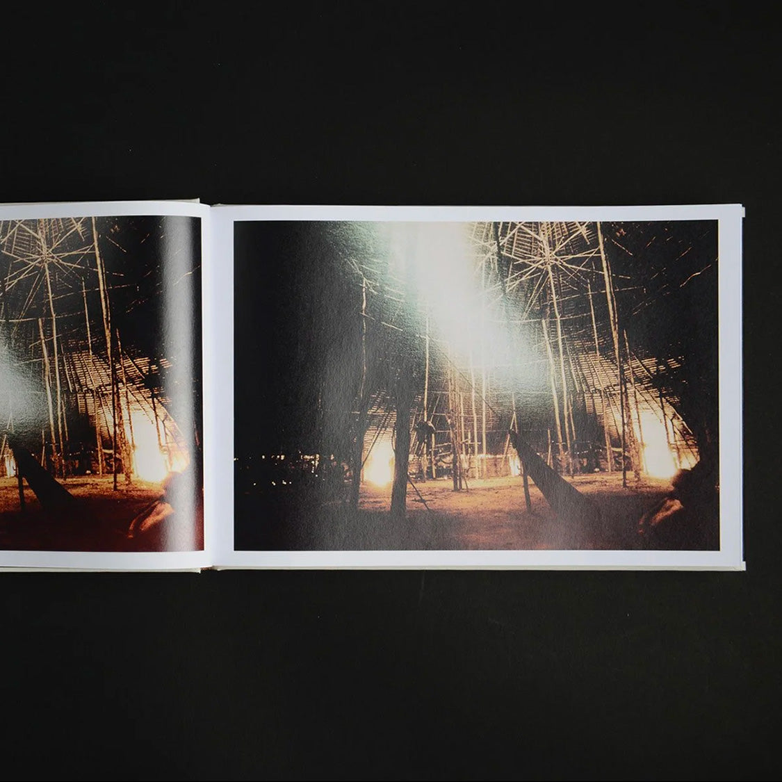 Genocídio do Yanomami