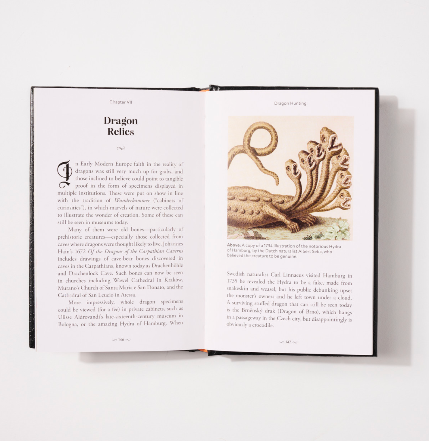 Pocket Book of Dragons