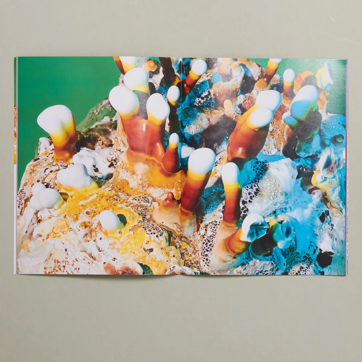 Mushrooms & Friends 4